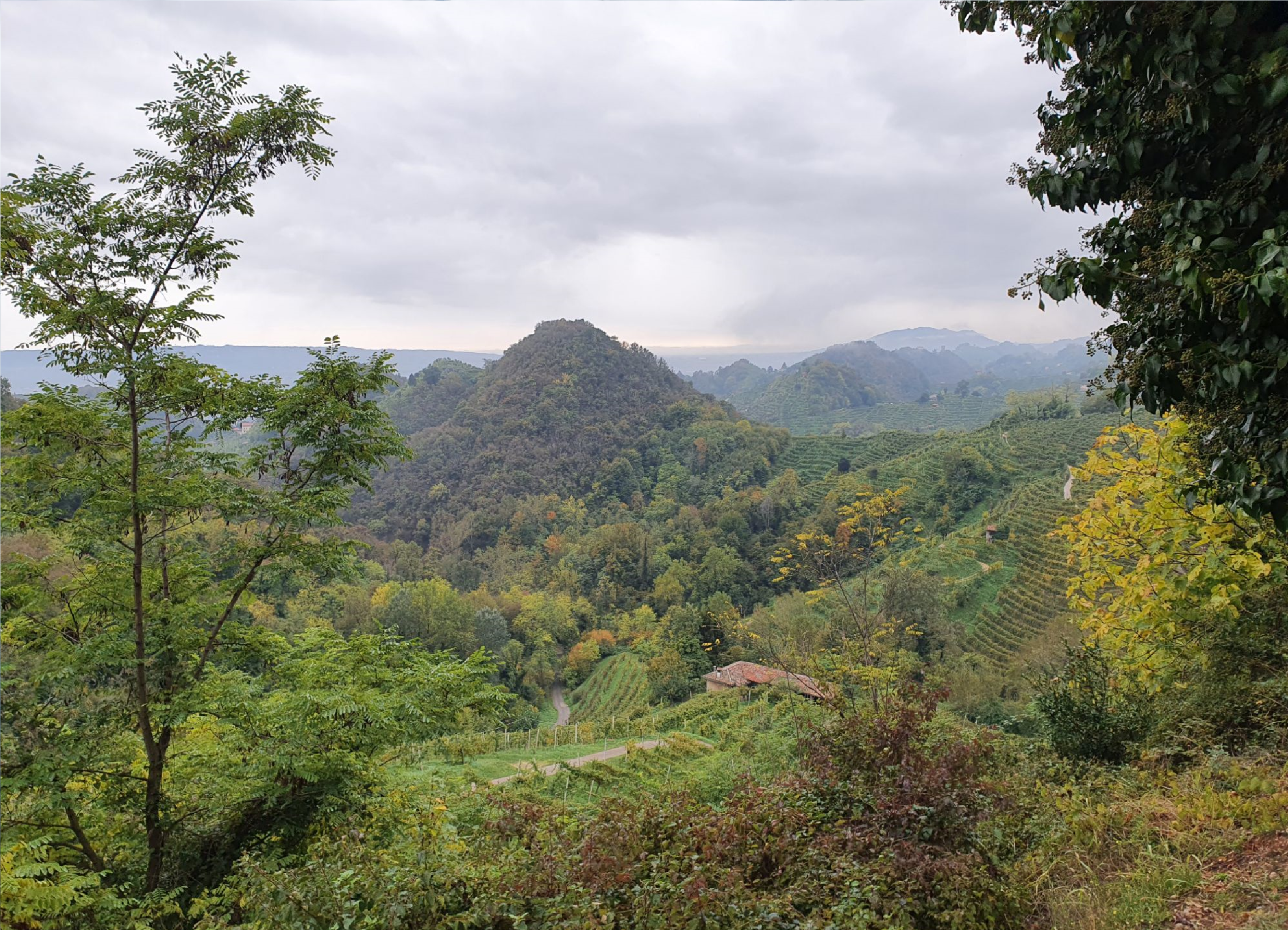 collina_veneta